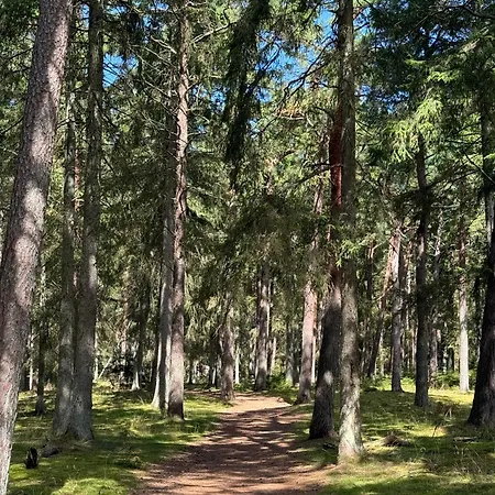 Romantic Glamping In The Forest Near A Sandy Роскошный шатер Frederiksvaerk