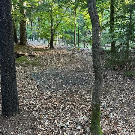 Romantic Glamping In The Forest Near A Sandy Роскошный шатер Frederiksvaerk
