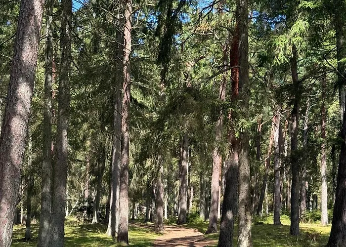 Romantic Glamping In The Forest Near A Sandy 럭셔리텐트 Frederiksværk