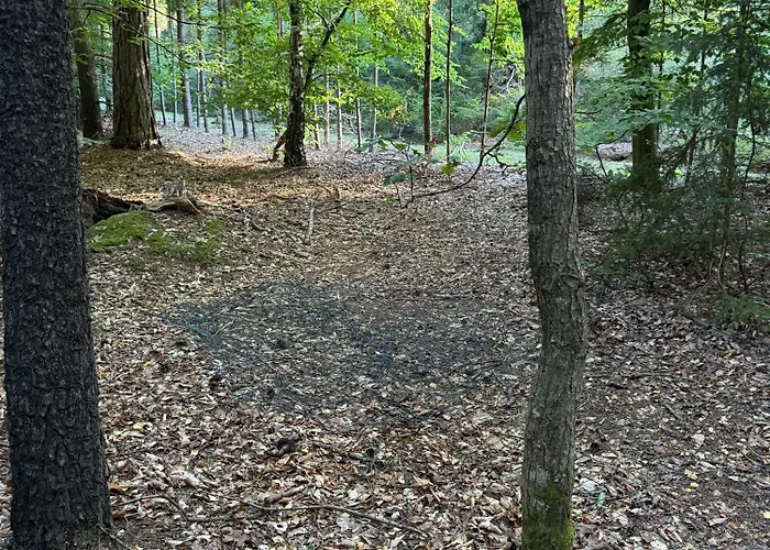 Romantic Glamping In The Forest Near A Sandy 럭셔리텐트 Frederiksværk